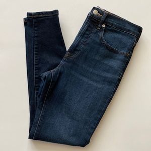 Everlane Skinny Jeans